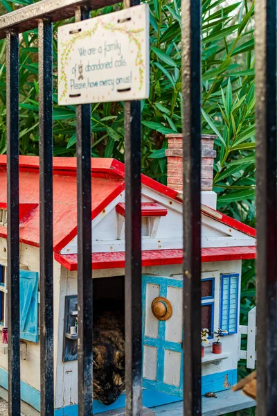 Sign and colorful cat house with cat inside in the small cat village in Independence Garden in Sliema, Malta. Cat area of the garden has become a cat\'s haven where people can watch, feed and pat cats.