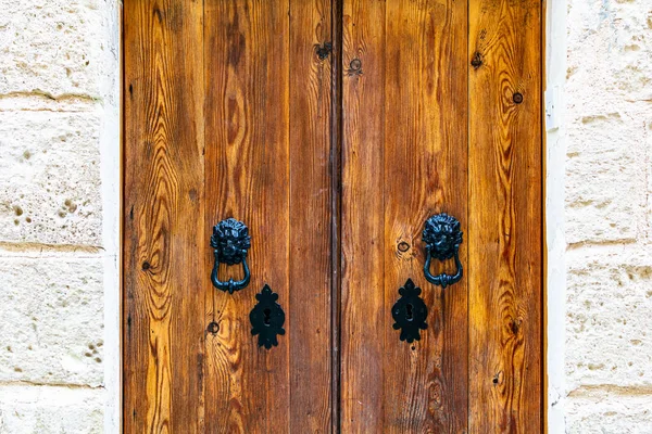 Естественная Деревянная Дверь Черными Винтажными Стукачами Виде Львиных Голов Черными — стоковое фото