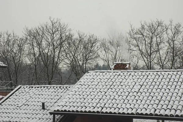 Grey Winter Colours Rooftops Trees — Stock Photo, Image