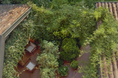  Yeşil bitkiler arasında sakin ve huzurlu bir köşe