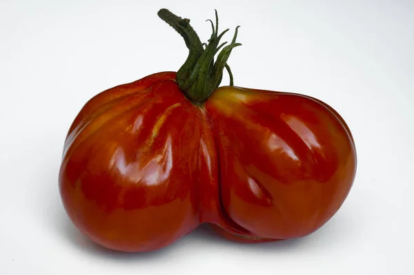 Μεγάλη Κόκκινη Ντομάτα Που Ονομάζεται Cuore Bue Στα Ιταλικά Coeur — Φωτογραφία Αρχείου