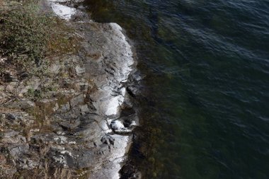 göl, bina ve manzara bahar