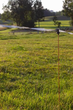 padok çitte yaz Güney Almanya akşamında çayıra