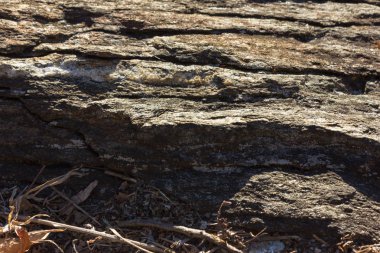 Lago Maggiore bahar, mimari arka plan