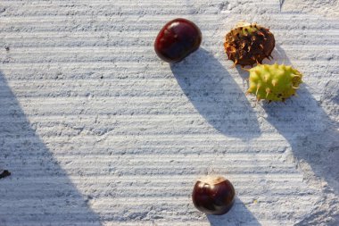 parlak kahverengi kestane tuğla kaya akşam beyaz zemin üzerine düşmek güneş sıcak ışık ruh hali