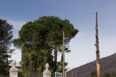 göl, bina ve manzara bahar