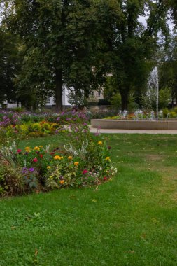 Güney Almanya yaz akşam tarihi kent, Şehir Parkı içinde renkli çiçekler