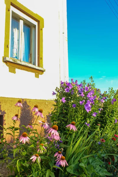 bavaria cottage garden flowers in south german summer evening warm calm atmosphere