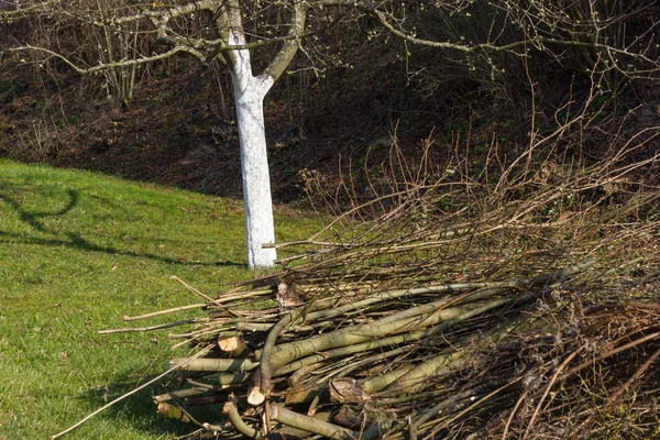 Detaljer För Eastern Time Landsbygden Södra Tyskland Solig Dag Mars — Stockfoto