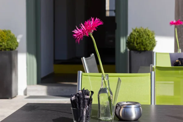 botas de trabajo cactus