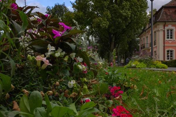 Fiori Colorati Nel Parco Cittadino Della Germania Meridionale Estate Sera — Foto Stock