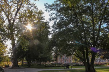 Güneş ışınları aracılığıyla şehir parkı ağaçlarda Güney Almanya sonbahar eveneing