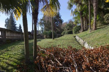 göl, bina ve manzara bahar