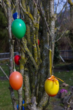ağaçta asılı Paskalya yumurtaları ile pastoral Paskalya sahne