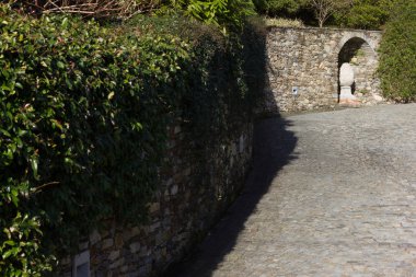 göl, bina ve manzara bahar