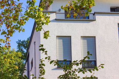şehir park ağaç üzerinde yeşil yaprakları ile sonbahar mavi gökyüzü güneş ışığı, modern şehir cepheler