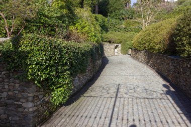 göl, bina ve manzara bahar