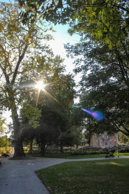 Güneş ışınları aracılığıyla şehir parkı ağaçlarda Güney Almanya sonbahar eveneing