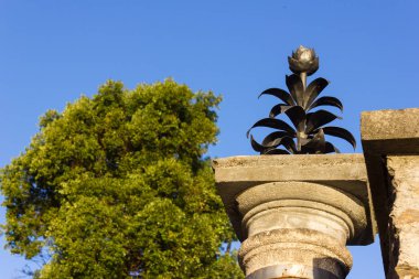 cepheler ve Botanik Bahçesi, verbania İtalya lago maggiore bir sıcak güneşli üzerinde ayrıntılarını ilkbahar sabah bina