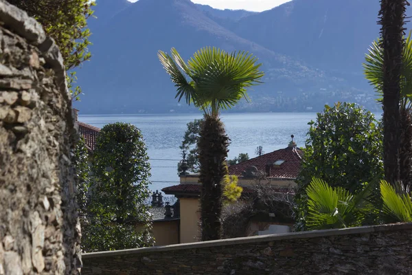 the lake, buildings and landscape in spring