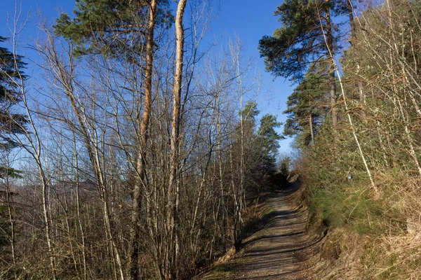 Дивовижний Вид Озеро Гори Навесні — стокове фото