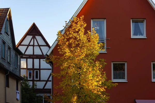 Autumn Color Tree Leaves City Building Facades South Germany — Stock Photo, Image