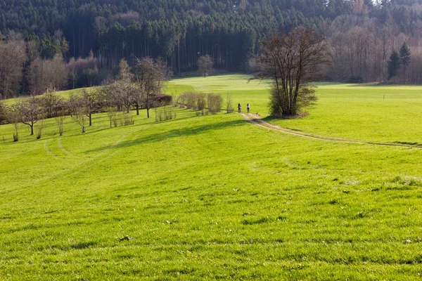 德国南部乡村乡村东部时间的风景在慕尼黑和斯图加特附近的一个晴朗的日子里行进 — 图库照片
