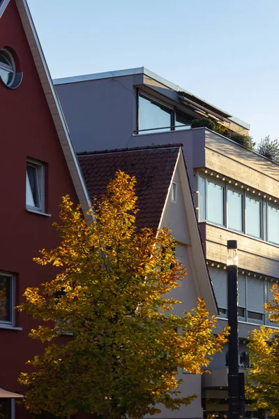 Toamna Copac Culoare Frunze Fațadele Clădirii Orașului Germania Sud — Fotografie, imagine de stoc