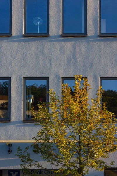 Árbol Color Otoño Hojas Fachadas Edificios Ciudad Sur Alemania — Foto de Stock