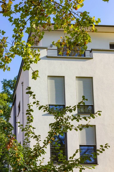 Moderne Stadtfassaden Bei Herbstblauem Himmel Sonnenschein Mit Grünen Blättern Stadtparkbaum — Stockfoto