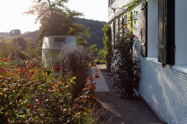 cottage garden plastic shed on a summer evening in south german bavaria countryside