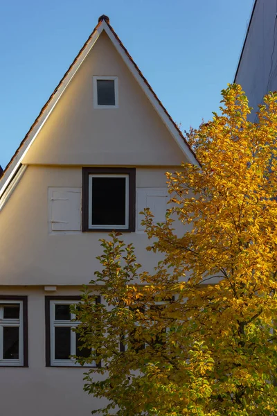 Árbol Color Otoño Hojas Fachadas Edificios Ciudad Sur Alemania — Foto de Stock