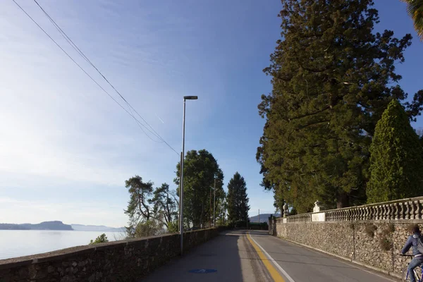 the lake, buildings and landscape in spring