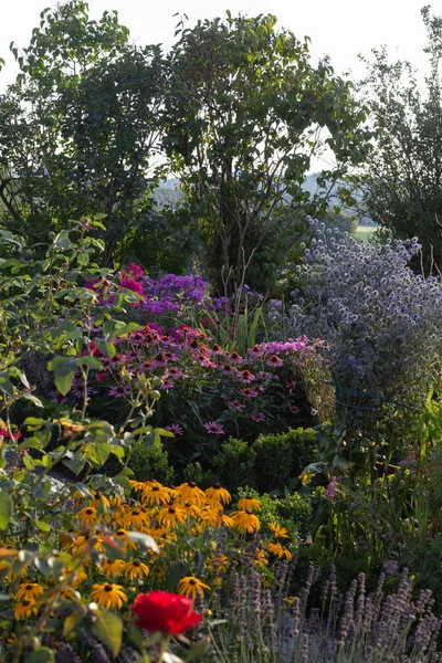 Cottage Garden Flowers Bavarian Countryside Summer Evening — Stock Photo, Image