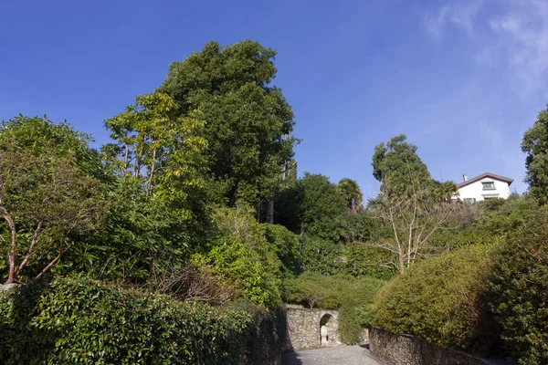 göl, bina ve manzara bahar