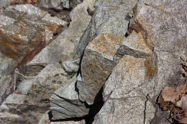 güçlü etkileyici arka planlar ve lago maggiore bahar, architecturals