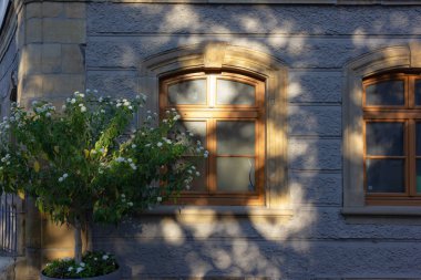 Çatı Cephe gölgede yeşil çiçekli