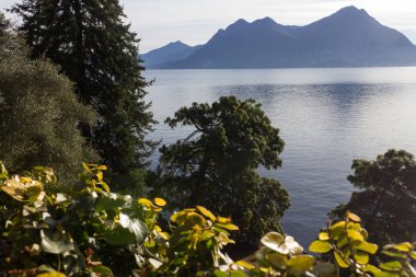 göl, bina ve manzara bahar