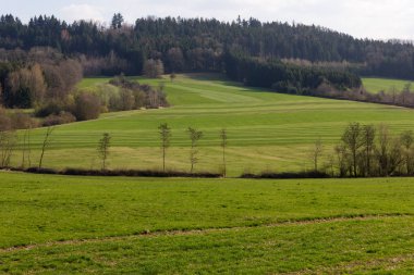Doğu saati manzara kırsal kırsal Güney Almanya'da Münih şehri yakınlarında Mart güneşli bir günde ve stuttgart