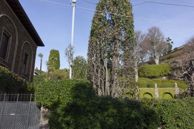 göl, bina ve manzara bahar