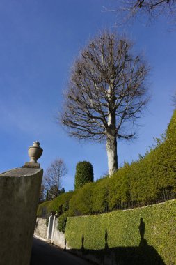 göl, bina ve manzara bahar