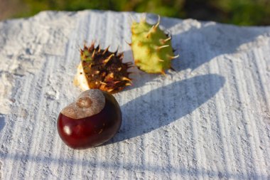 parlak kahverengi kestane tuğla kaya akşam beyaz zemin üzerine düşmek güneş sıcak ışık ruh hali