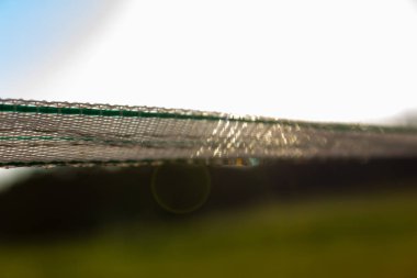 padok çitte yaz Güney Almanya akşamında çayıra