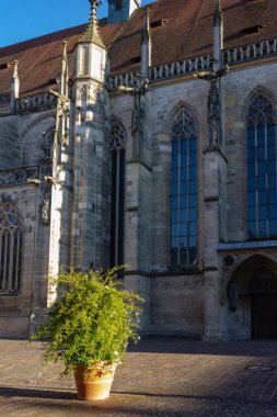 Yeşil bitki tencerede Güney Almanya katedral yerde.