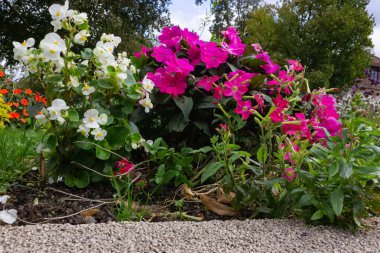 Güney Almanya yaz akşam tarihi kent, Şehir Parkı içinde renkli çiçekler