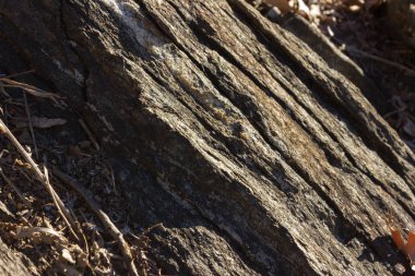 Lago Maggiore bahar, mimari arka plan