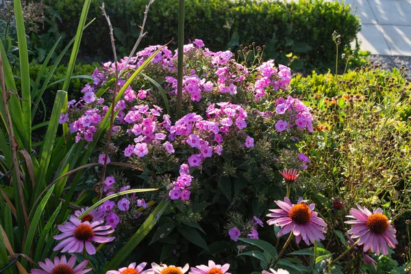 Cottage garden flowers in Bavarian countryside on summer evening