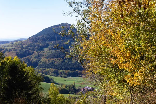 Pastırma Yazı Peyzaj Dağlar Renkli Ağaç Orman Güney Almanya Kırsal — Stok fotoğraf