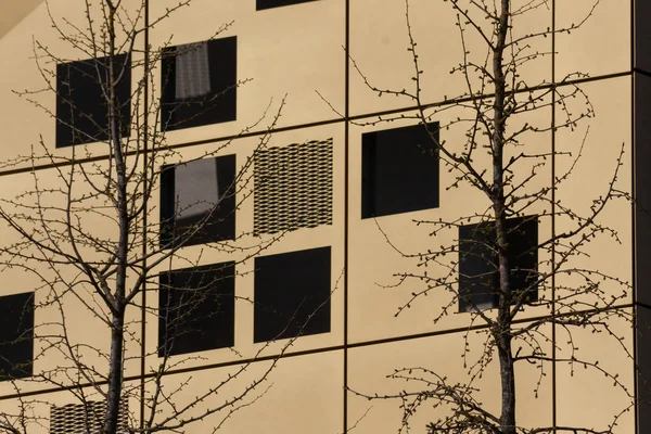 Каркасные Фасады Позолоченная Современная Архитектура Смешанная Историческом Городе Южной Германии — стоковое фото