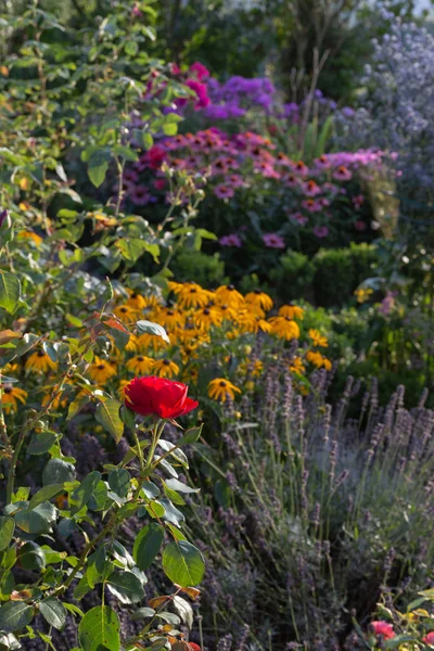 Cottage garden flowers in Bavarian countryside on summer evening